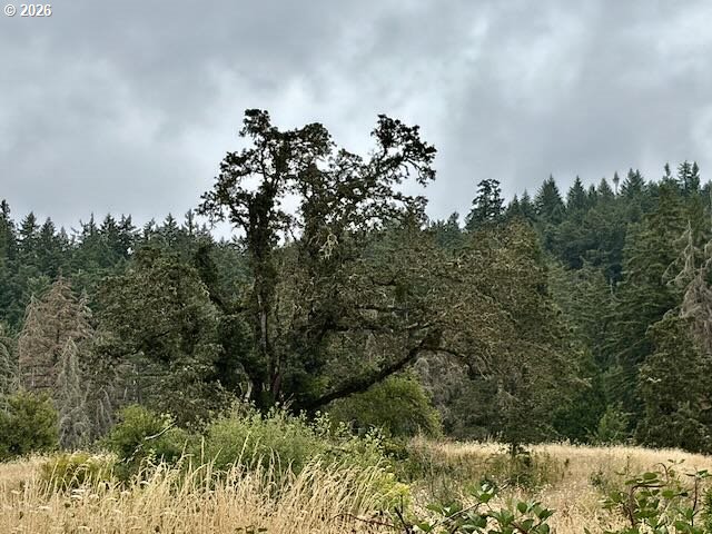 1847 South 61st Street Springfield, OR 97478 - Photo 16 of 22
