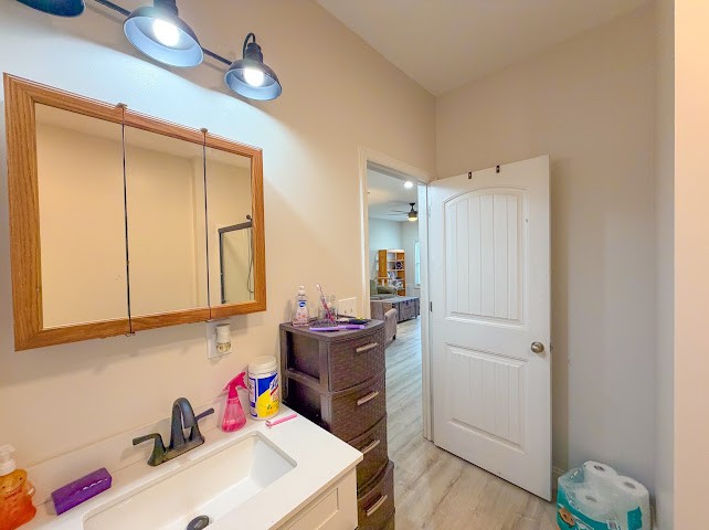 449 Miller Lane Goodspring, TN 38460 - Photo 12 of 20 a bathroom with a sink vanity and mirror