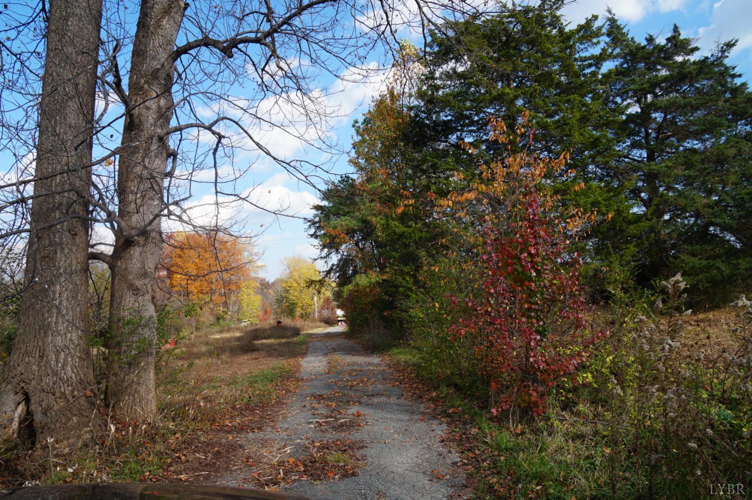 570 Old Well Road Phenix, VA 23959 - Photo 4 of 17 a backyard of a house with lots of green space