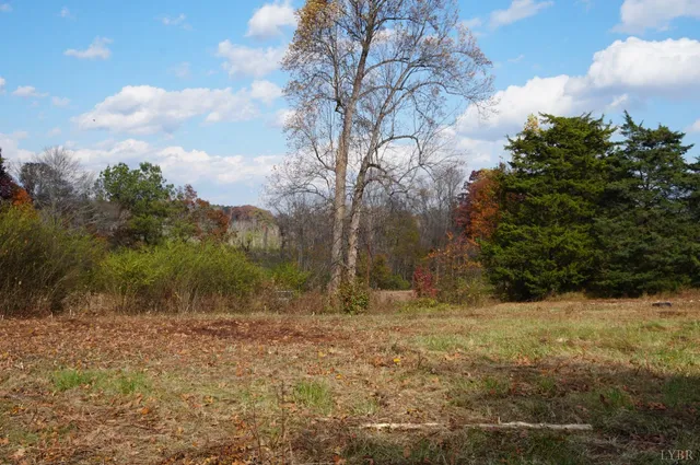a view of outdoor space with trees