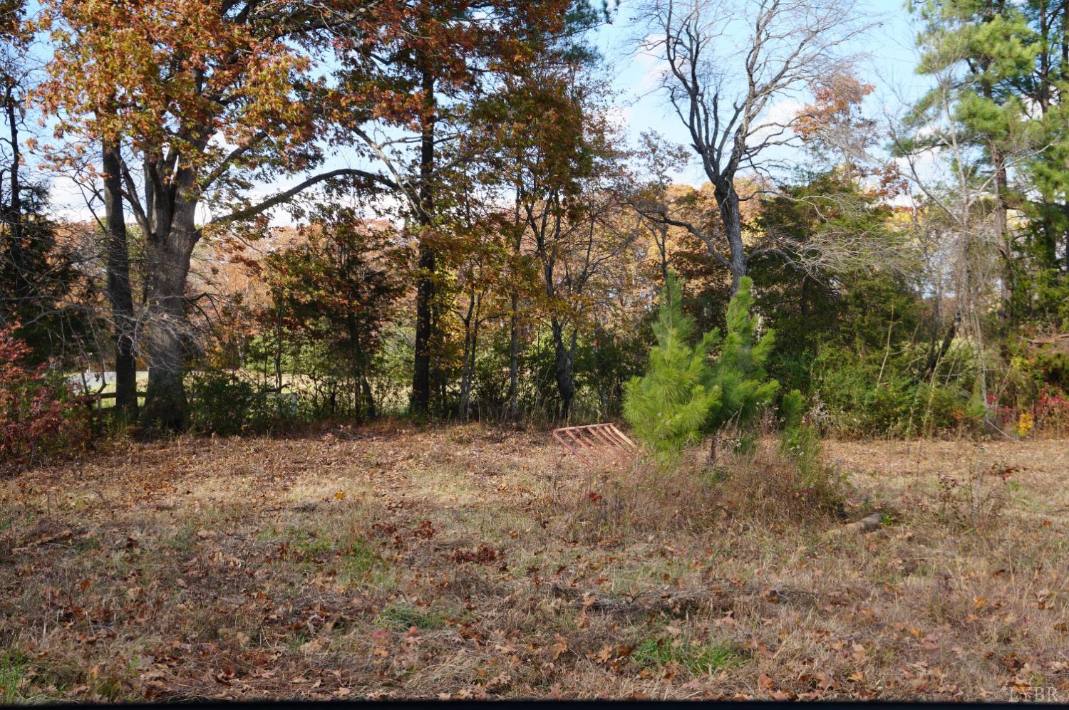 570 Old Well Road Phenix, VA 23959 - Photo 7 of 17 a view of a forest with trees in the background