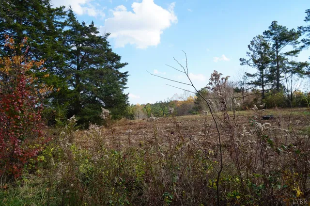 a view of a green filed