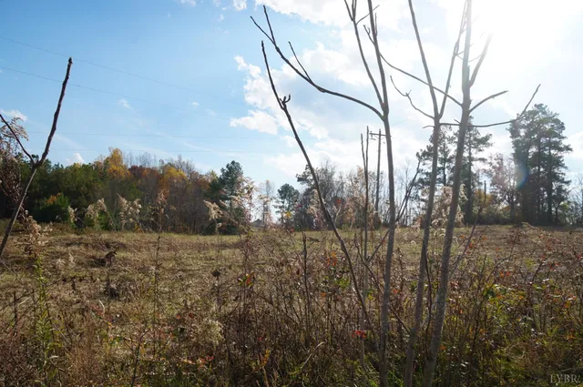 a view of a yard with trees