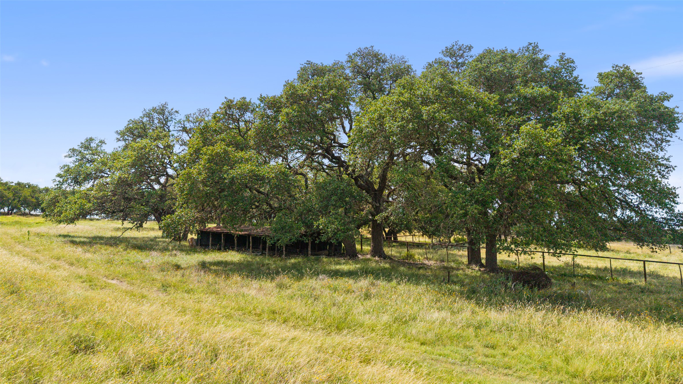 4112 Schumann Road Stonewall, TX 78671 - Photo 10 of 10 Mature trees offer shade to an outbuilding on this expansive, verdant lot.