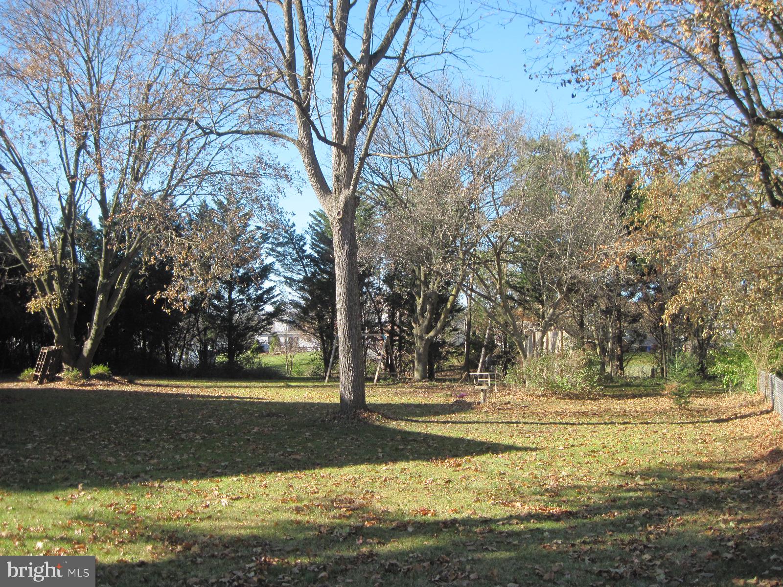 61 Mayfield Street Dover, PA 17315 - Photo 55 of 61 a view of a yard with large trees