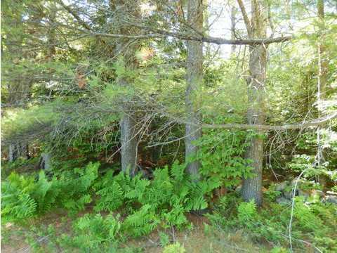 0 Route Road Hebron, ME 04238 - Photo 9 of 11 Land/Lot.