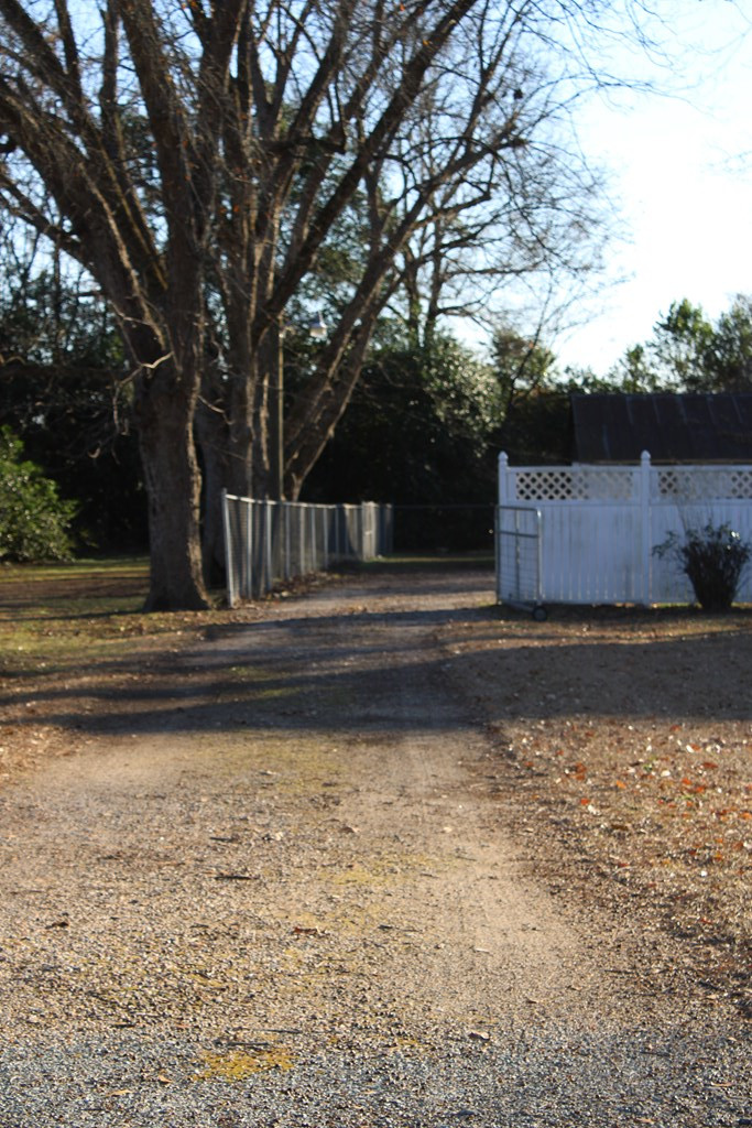 896 Woodham Road Bishopville, SC 29010 - Photo 70 of 71 Gallery Image 70