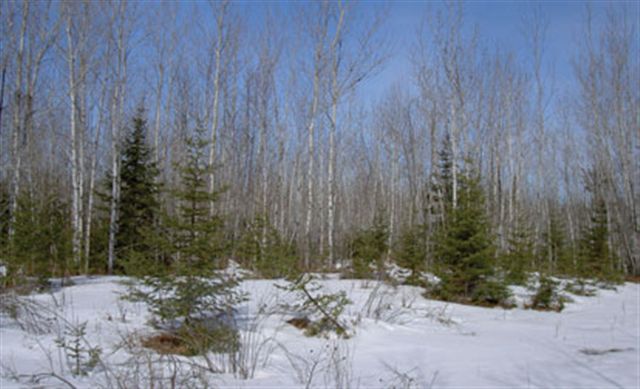 Xxx Gillogy Road Carlton, MN 55718 - Photo 1 of 7 Gallery Image 1