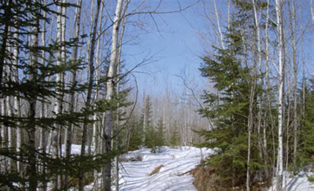 Xxx Gillogy Road Carlton, MN 55718 - Photo 2 of 7 Gallery Image 2