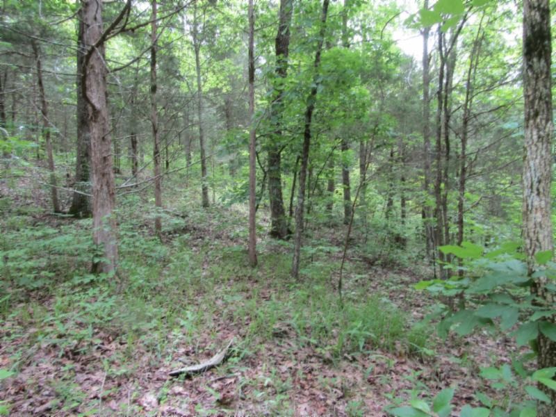 6 White Oak Rdg Road Celina, TN 38551 - Photo 11 of 22 Gallery Image 11