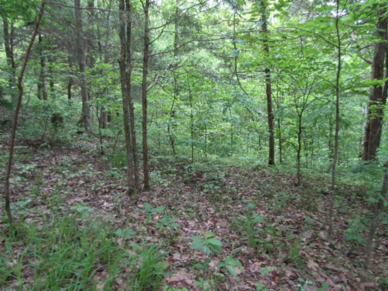 6 White Oak Rdg Road Celina, TN 38551 - Photo 13 of 22 Gallery Image 13