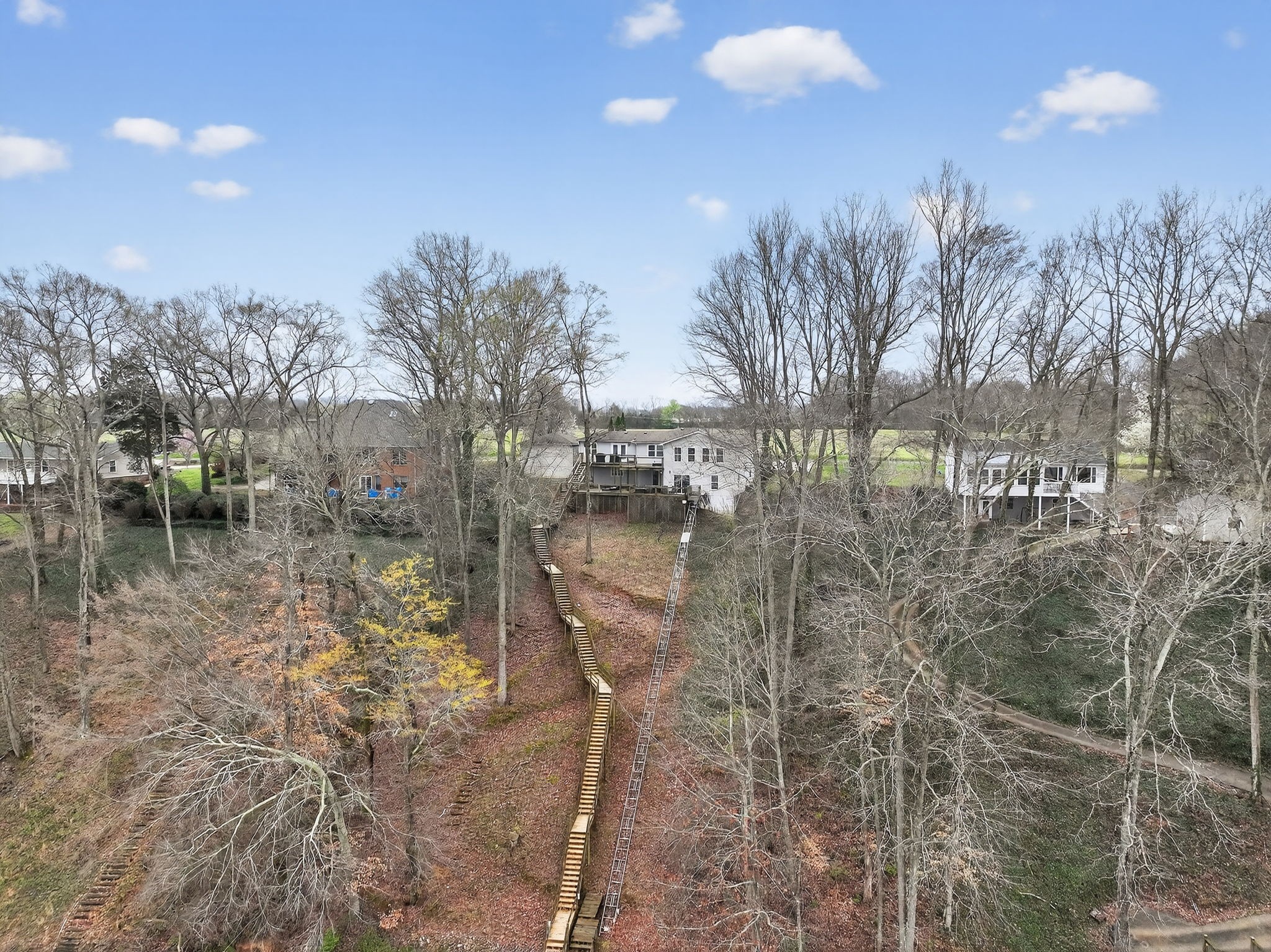 232 Loop Drive Winchester, TN 37398 - Photo 35 of 41 a view of a yard with a tree