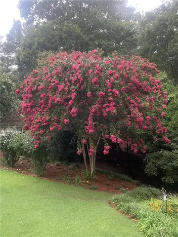 $1,295,000 | 1700 Chartwell Trace, Stone Mountain, GA 30087