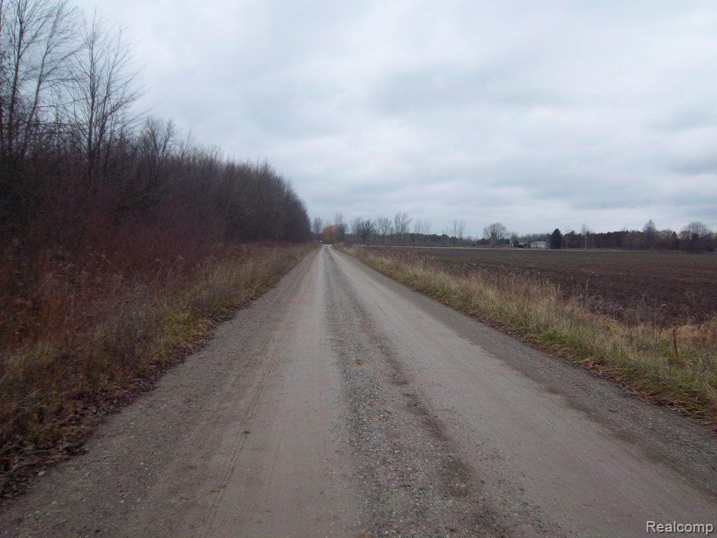 Lot A Mc Mahon Road Yale, MI 48097 - Photo 2 of 3 V L McMahon Lots A B C road nort