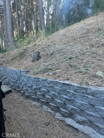 $1,650 | 480 Mozumdar Drive, Cedarpines Park, CA 92322