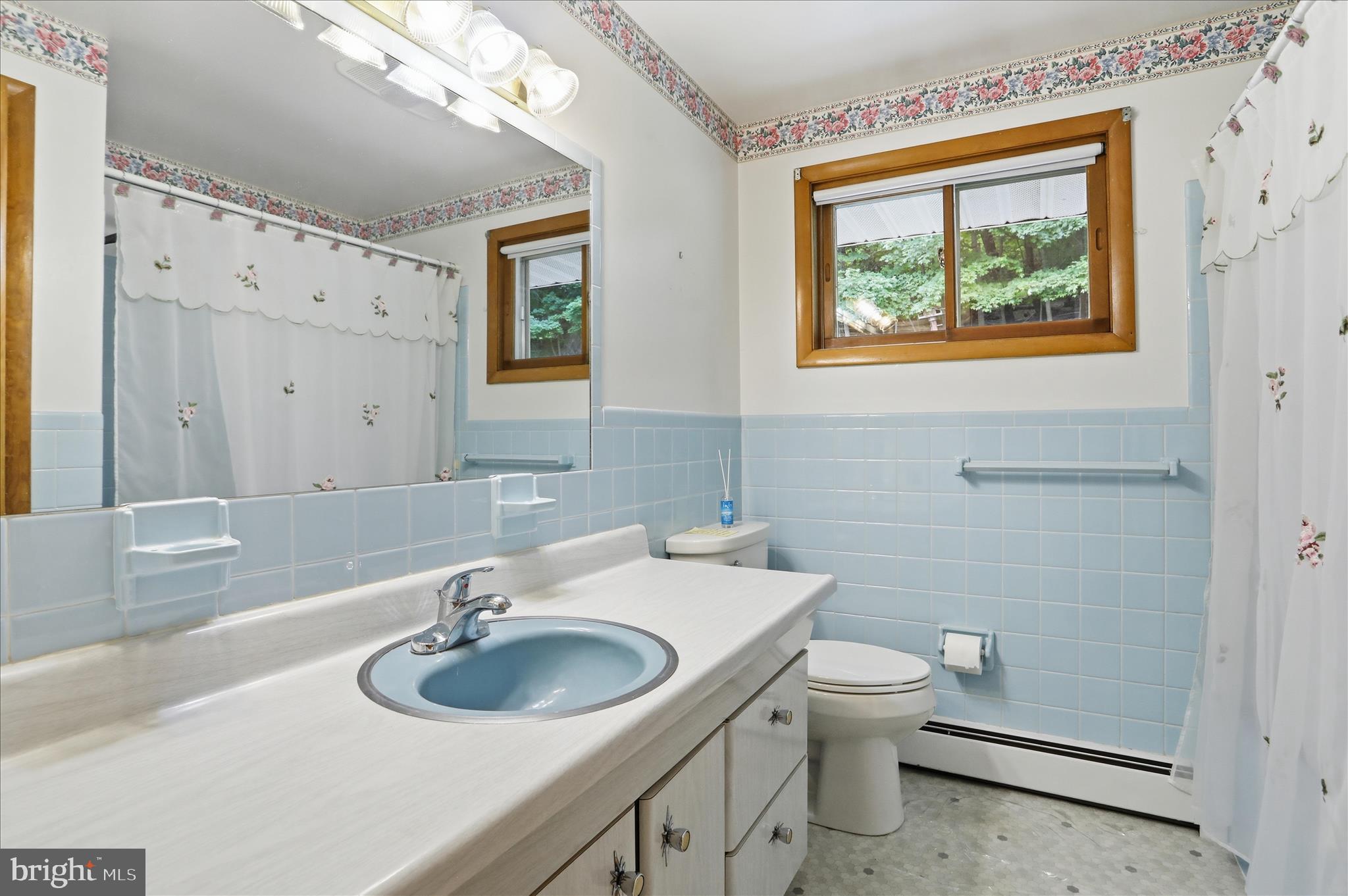 199 Buser Street Ridgeley, WV 26753 - Photo 16 of 49 a bathroom with a toilet a sink and mirror