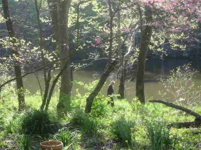 12437 West Tippecanoe Ranch Road Delphi, IN 46923 - Photo 9 of 25 Gallery Image 9