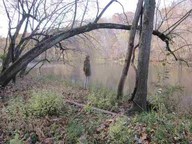 12437 West Tippecanoe Ranch Road Delphi, IN 46923 - Photo 10 of 25 Gallery Image 10