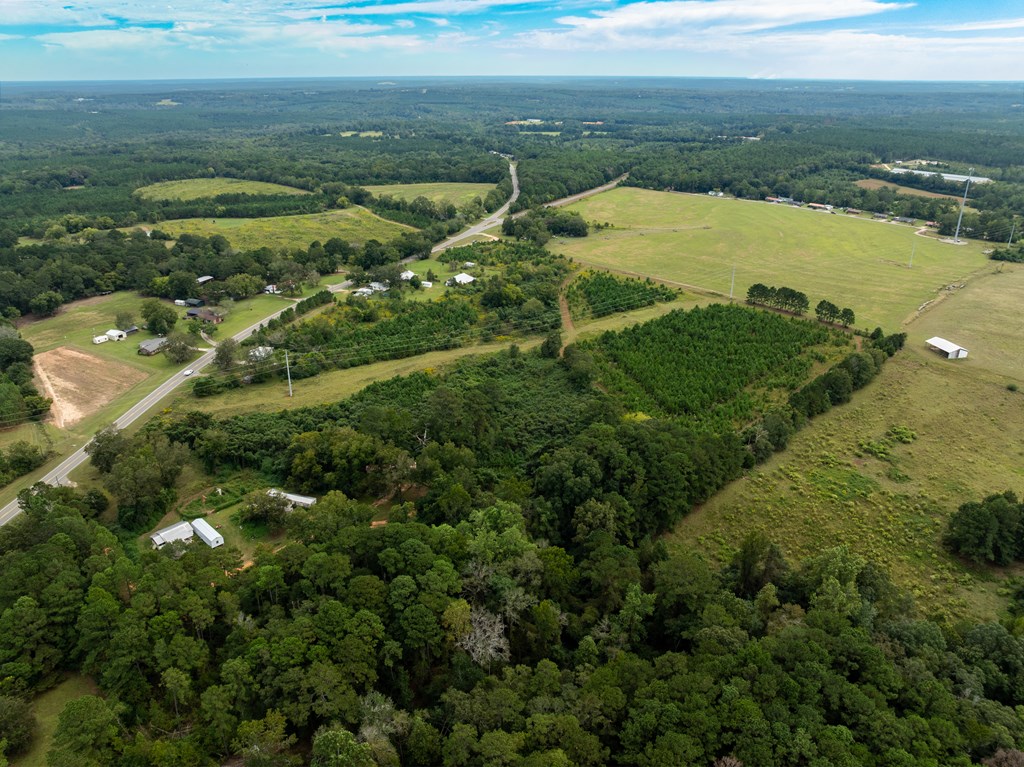 95 (columbia Rd) Road Abbeville, AL 36310 - Photo 27 of 41