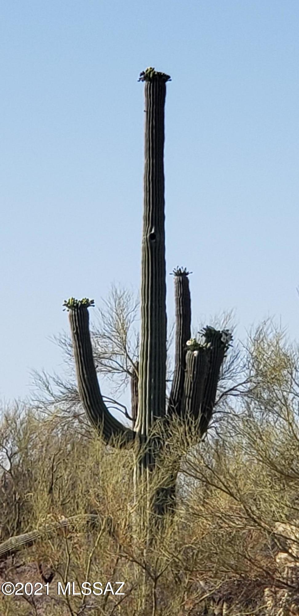0 South Galena Road Marana, AZ 85658 - Photo 5 of 7