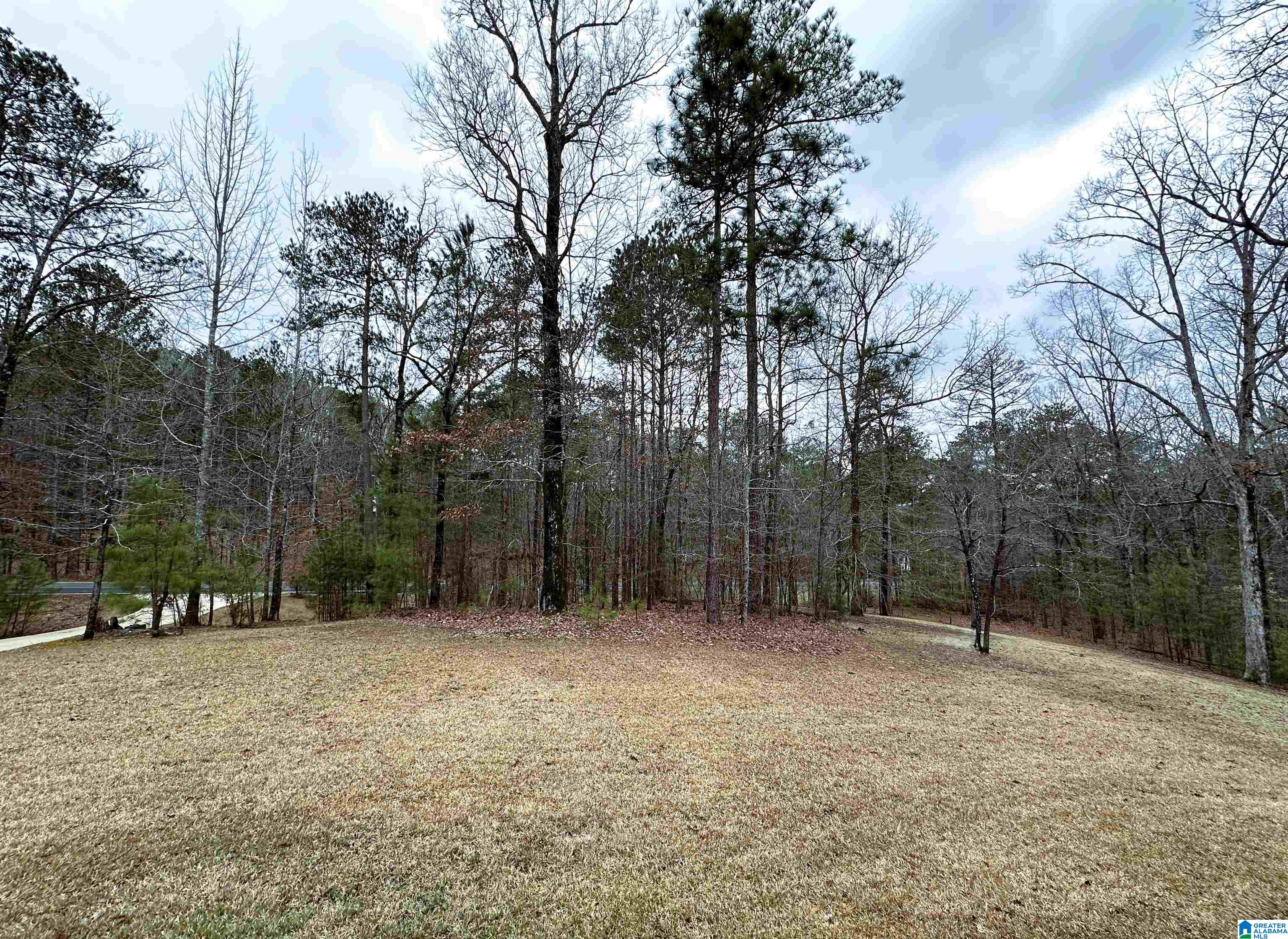 7915 Springer Road McCalla, AL 35111 - Photo 49 of 58