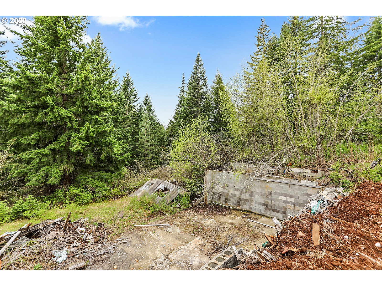 189 Acme Road White Salmon, WA 98672 - Photo 42 of 48 a view of a yard with a tree