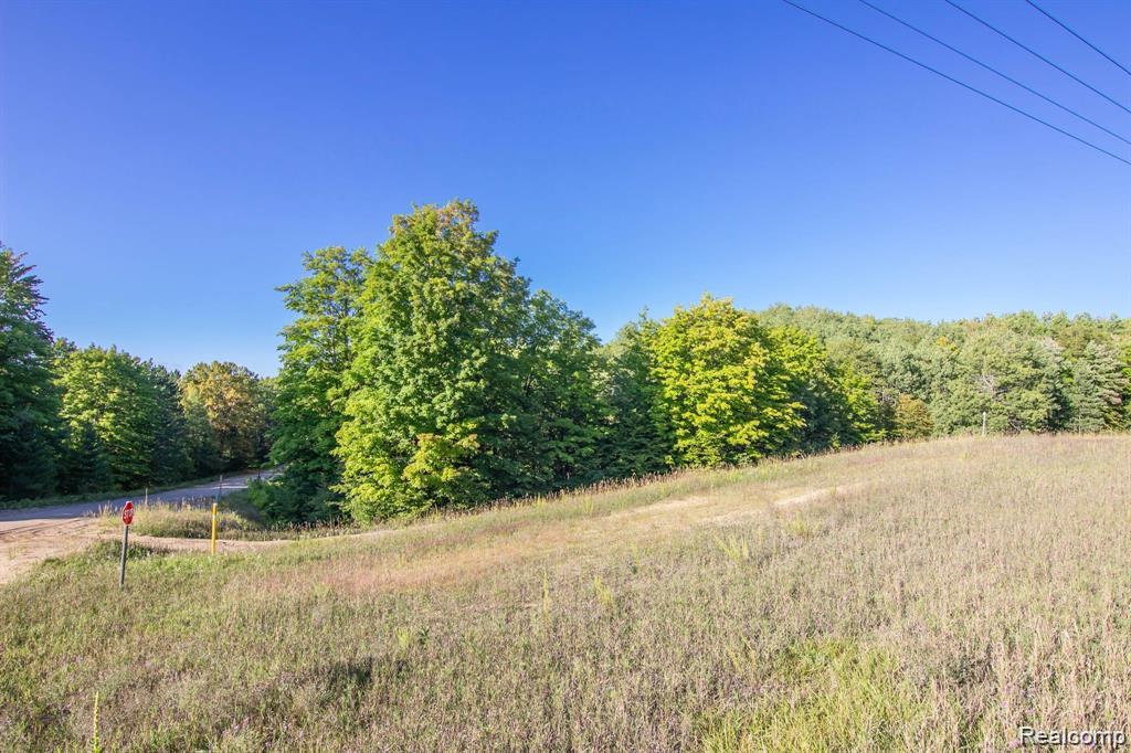0 West Mancelona Road Gaylord, MI 49735 - Photo 1 of 5 Gallery Image 1