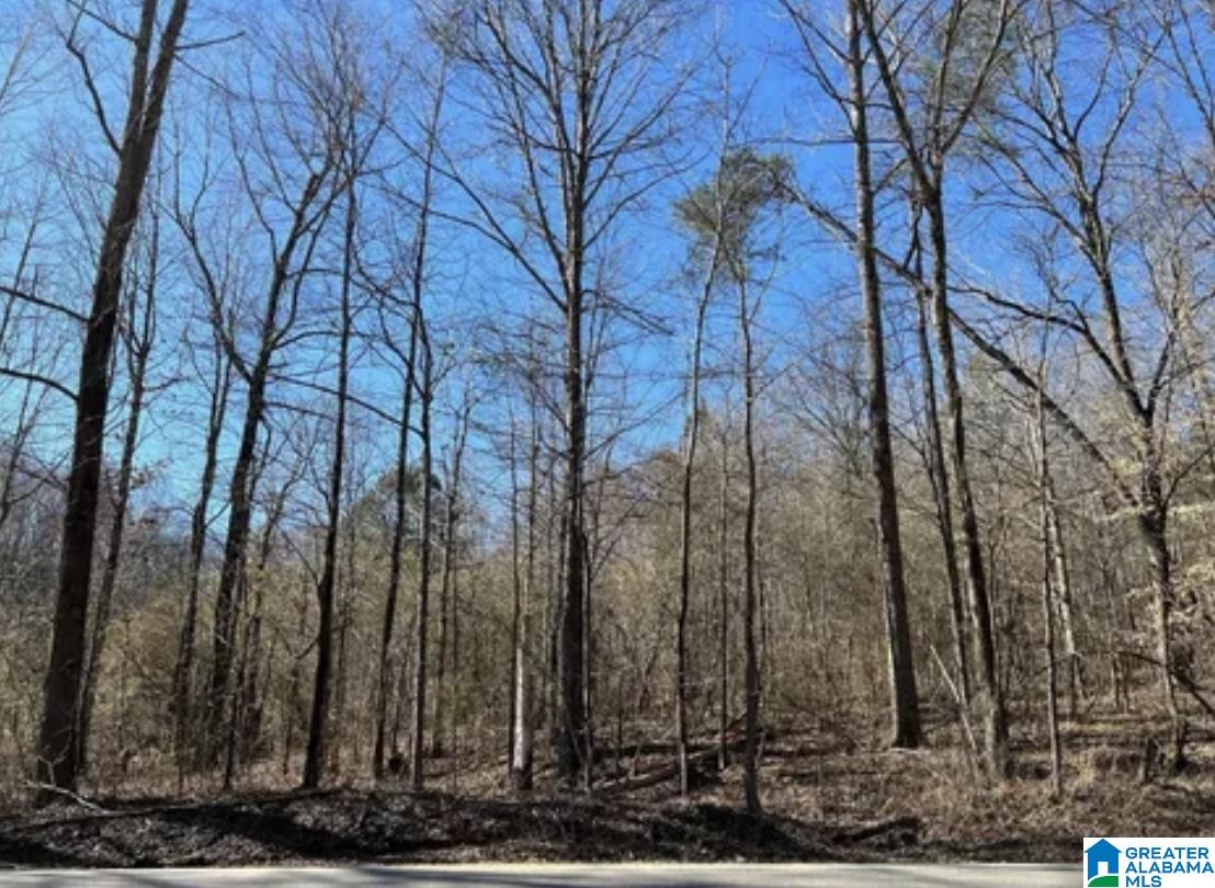 4448 Shady Grove Road, Unit 15 000 Gardendale, AL 35071 - Photo 1 of 2