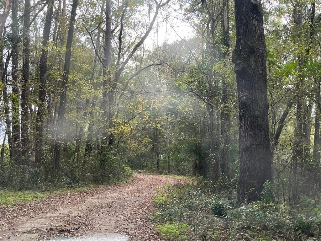 1602 Southwest Williston Road Gainesville, FL 32608 - Photo 2 of 3