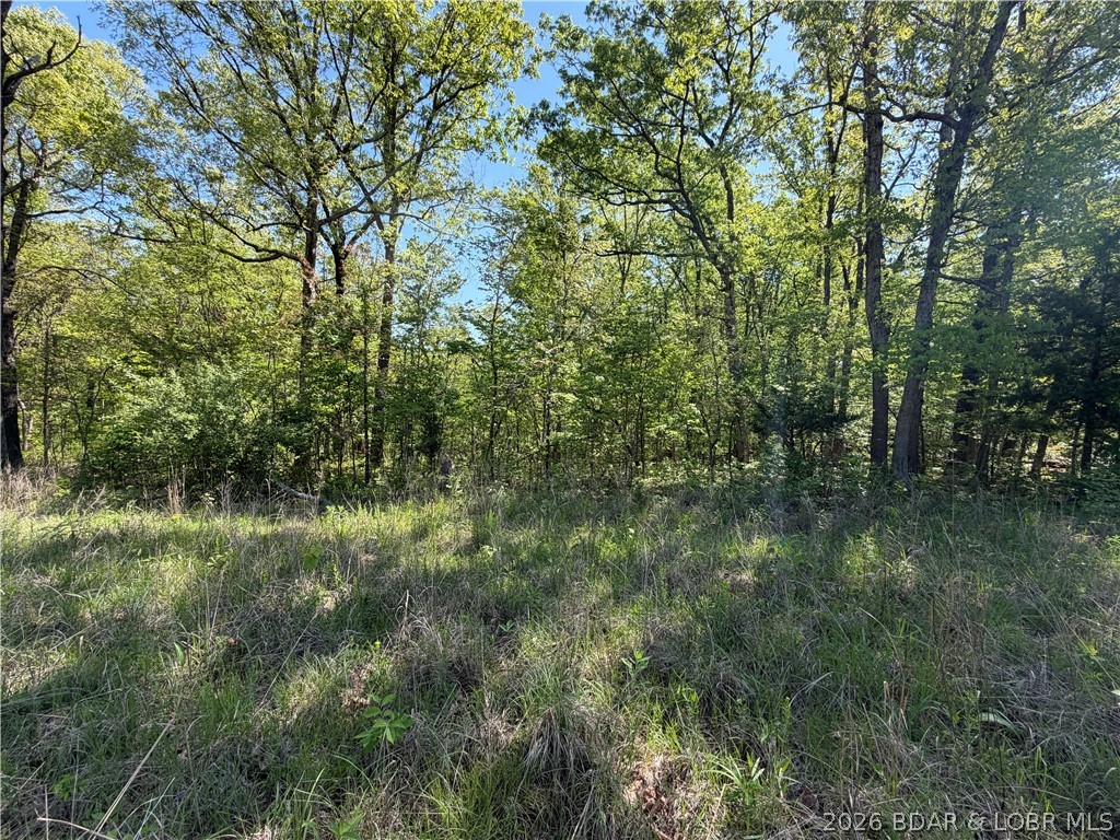 10-acres Ivy Bend Road Stover, MO 65078 - Photo 3 of 12