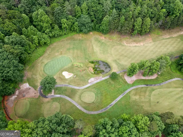 an aerial view of a residential houses with outdoor space and trees all around