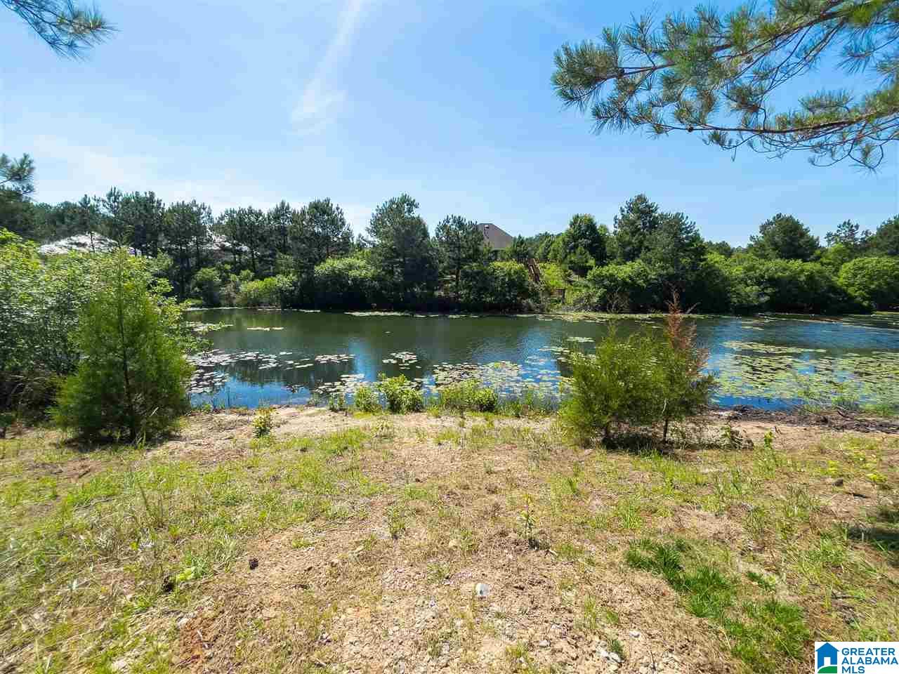 11374 Crimson Ridge Road Brookwood, AL 35444 - Photo 25 of 25