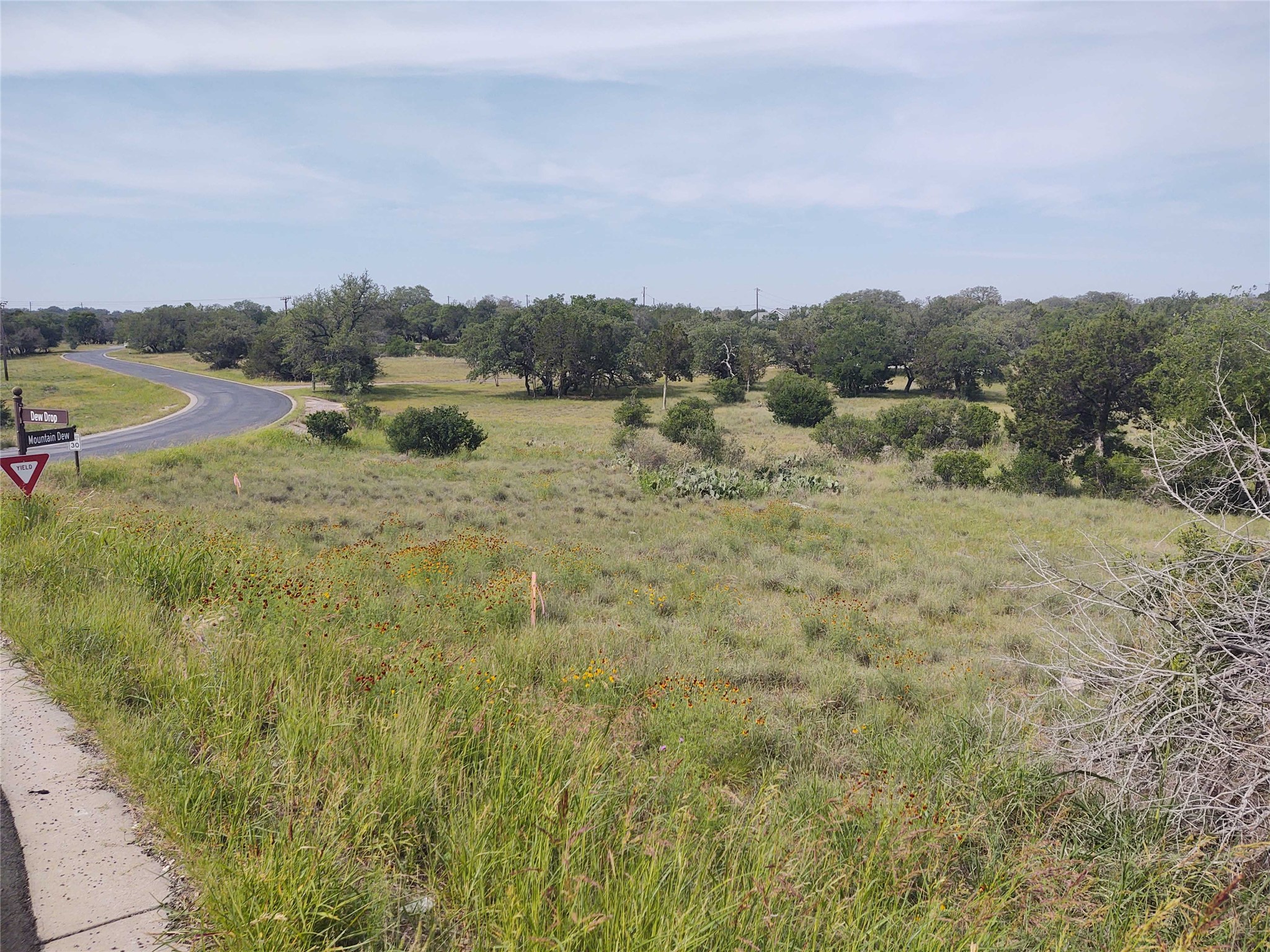 0 Mountain Dew Road Horseshoe Bay, TX 78657 - Photo 3 of 18 View of local wilderness