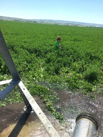 $1,400,000 | Tbd Old Highway, Midvale, ID 83645