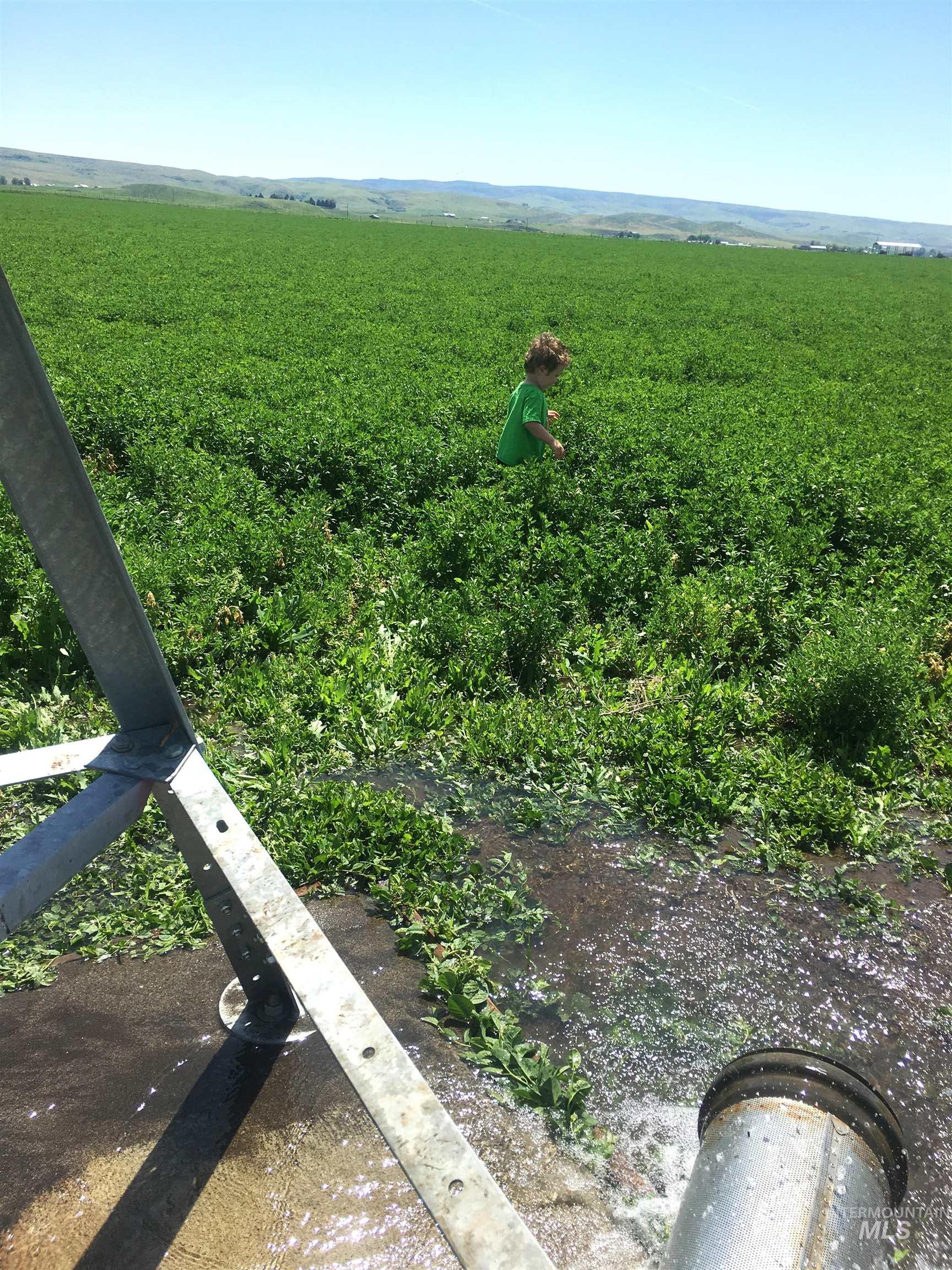 Tbd Old Highway Midvale, ID 83645 - Photo 17 of 20