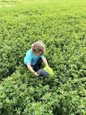 $1,400,000 | Tbd Old Highway, Midvale, ID 83645