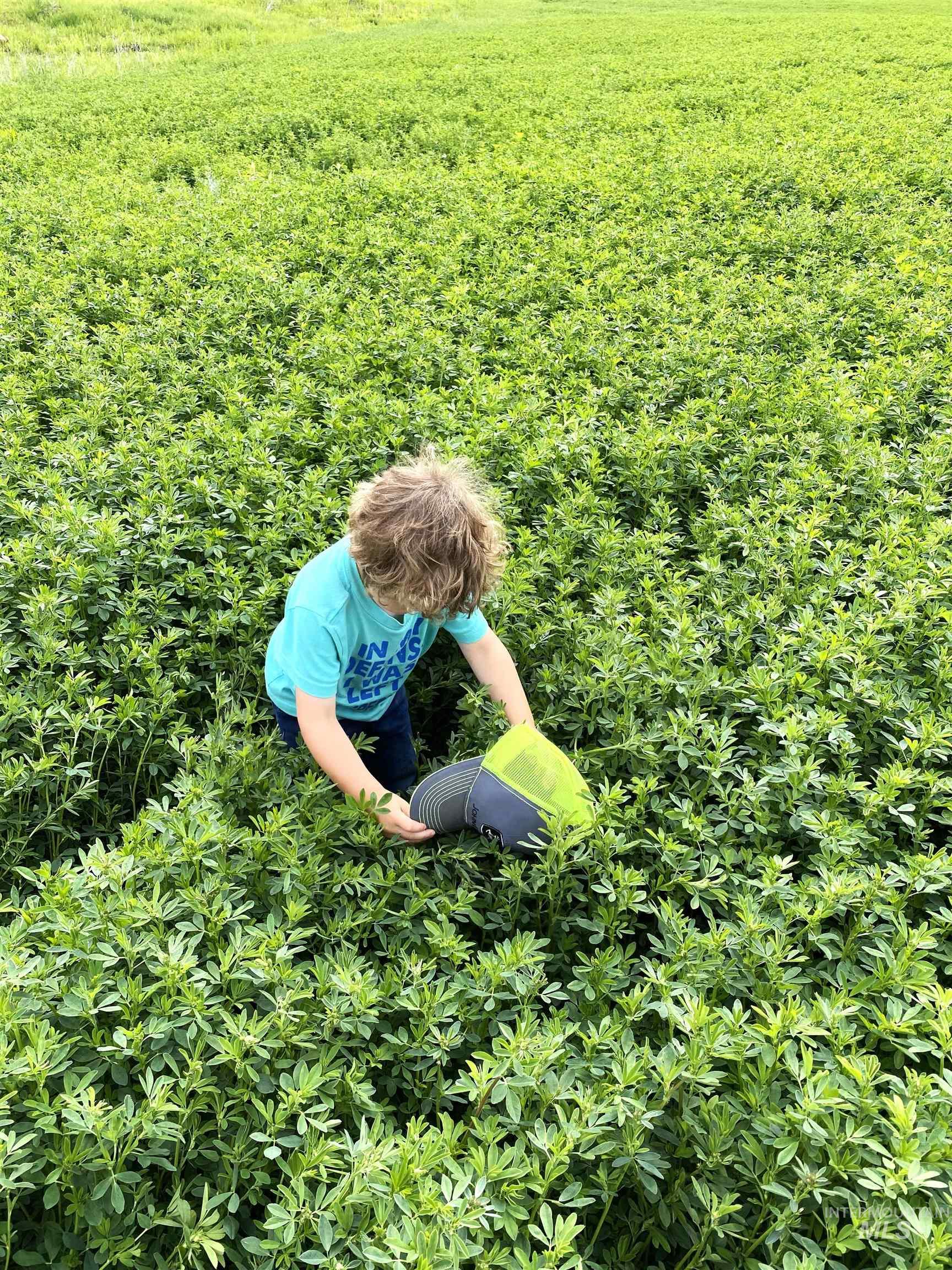 Tbd Old Highway Midvale, ID 83645 - Photo 19 of 20