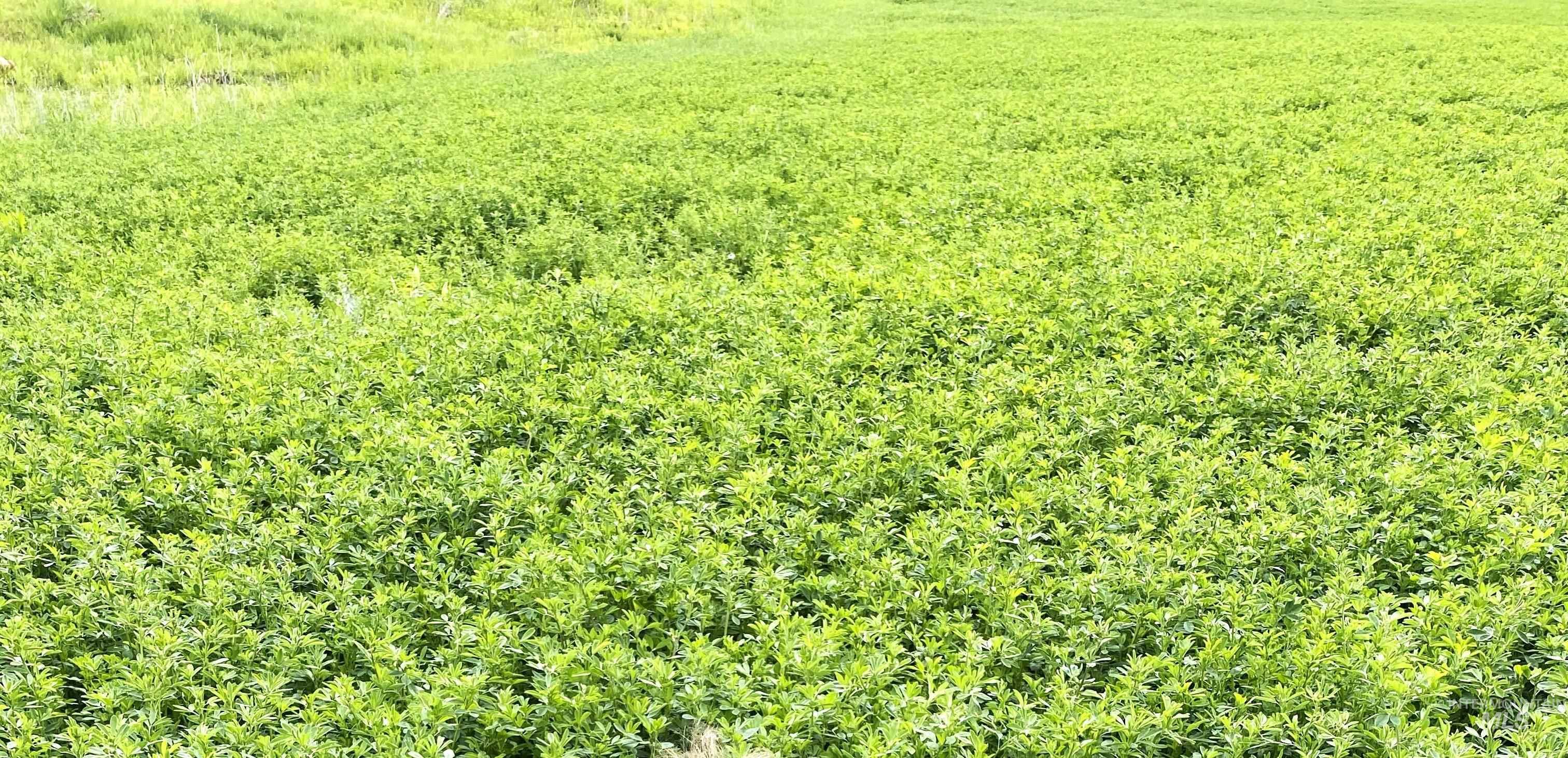 Tbd Old Highway Midvale, ID 83645 - Photo 20 of 20