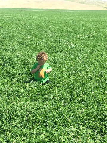 $1,400,000 | Tbd Old Highway, Midvale, ID 83645