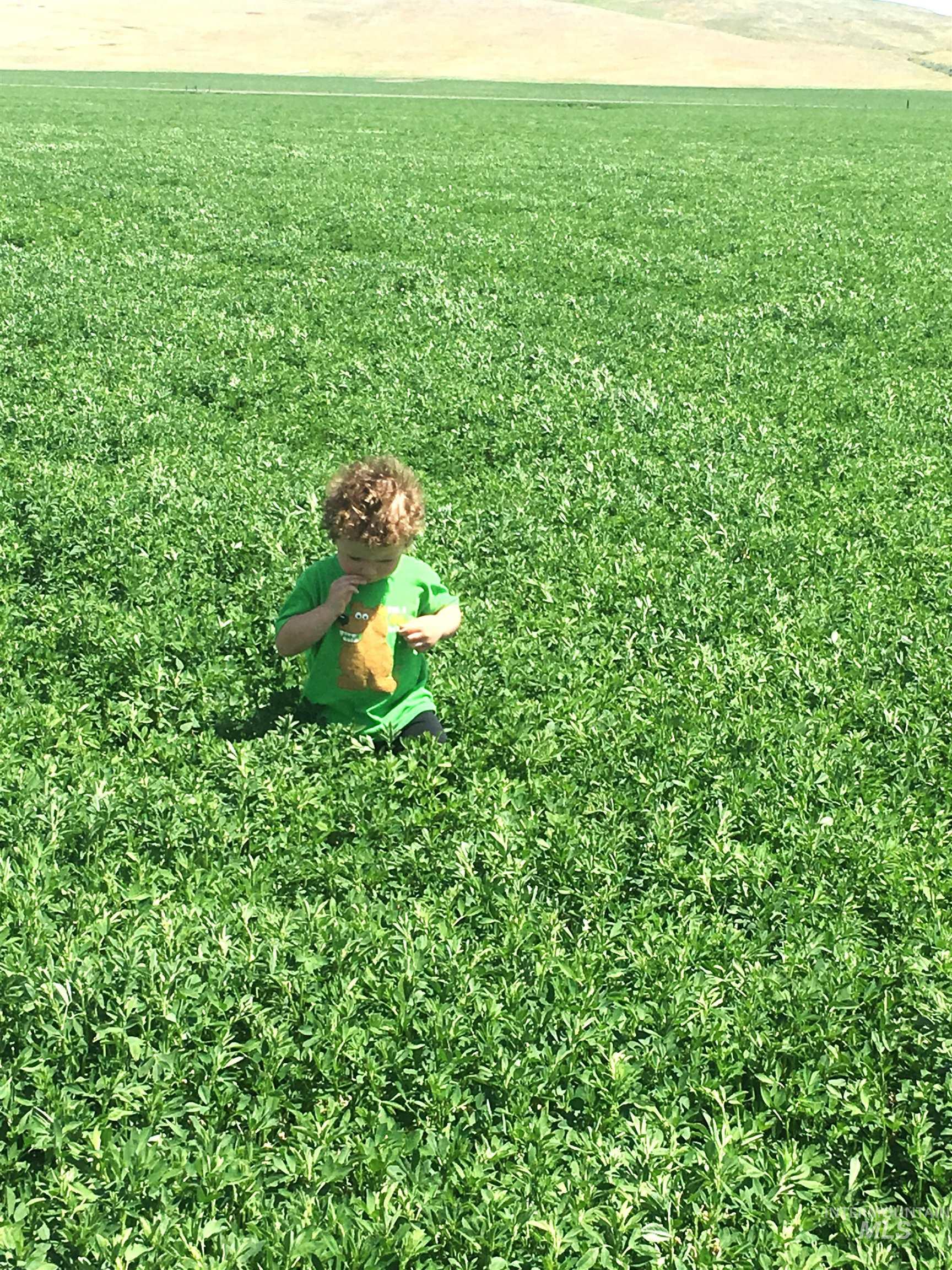 Tbd Old Highway Midvale, ID 83645 - Photo 5 of 20