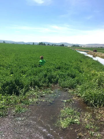 $1,400,000 | Tbd Old Highway, Midvale, ID 83645