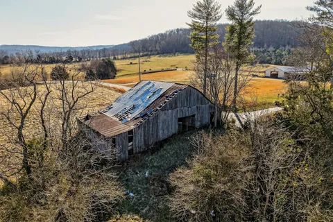 a view of a yard with lots of trees