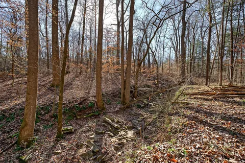a view of a field with a tree in the background