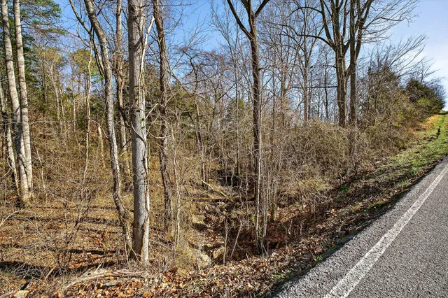 $549,900 | 305 Caney Bend Drive, Doyle, TN 38559