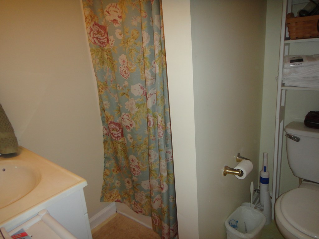 707 Calhoun Road Abbeville, AL 36310 - Photo 8 of 23 Bath 1
