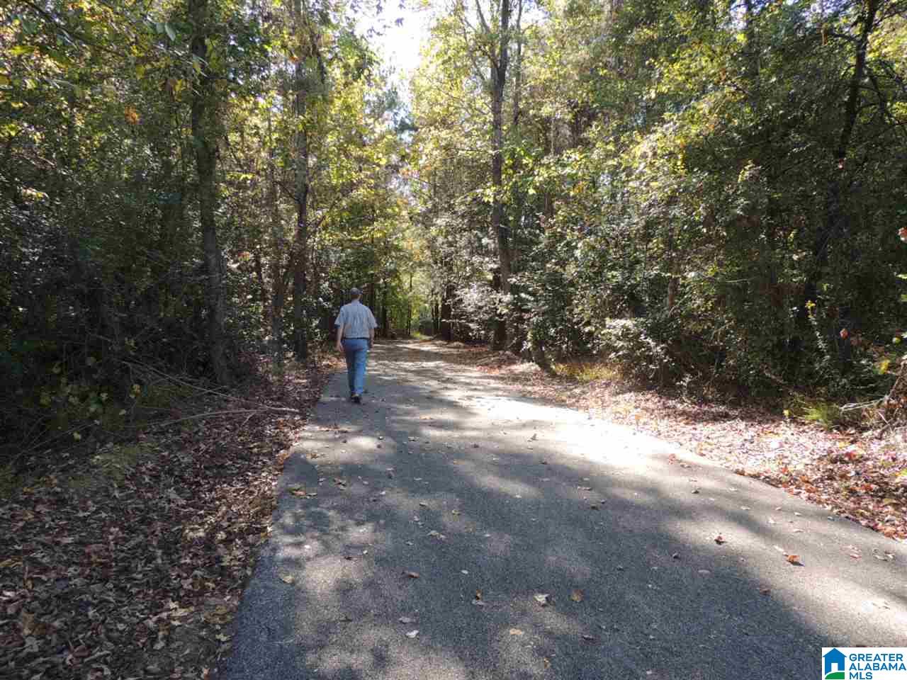 146 White Cottage Road Helena, AL 35080 - Photo 32 of 37
