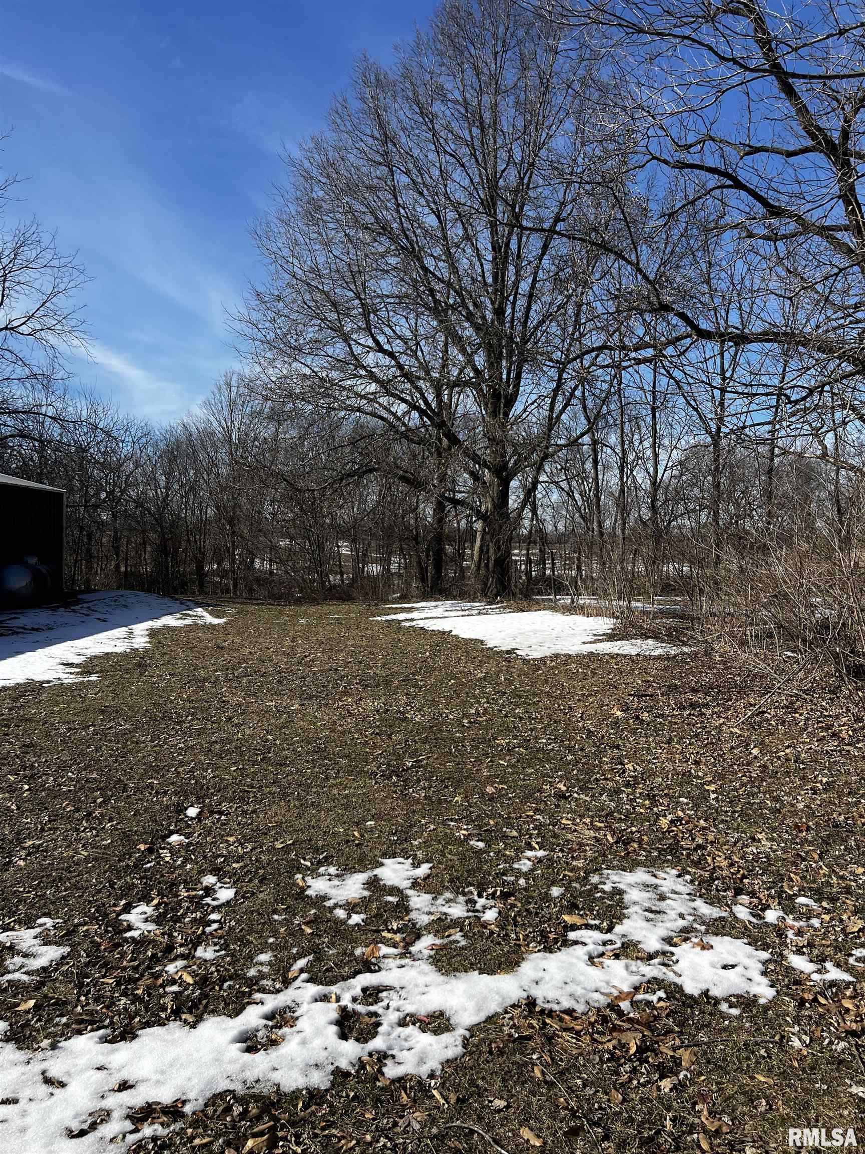 5997 Smith Road Pleasant Plains, IL 62677 - Photo 5 of 6