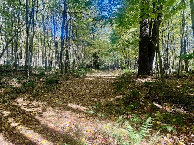 142 John Smith Road Pharsalia, NY 13844 - Photo 47 of 50 Gallery Image 47