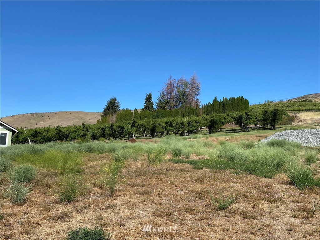 1012 Two Rivers Road Entiat, WA 98822 - Photo 8 of 9 Gallery Image 8