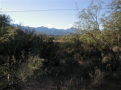 64780 East Edwin Road Tucson, AZ 85739 - Photo 1 of 1 Gallery Image 1